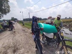 Cuan Tukang Ojek Gabah Saat Nganjuk Panen Raya Padi