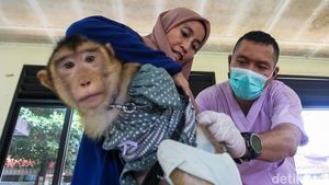 Vaksinasi Rabies Gratis Diserbu Pemilik Hewan