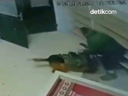 Video: Kejam! Anjing Militer Israel Serang Jemaah Masjid di Tepi Barat