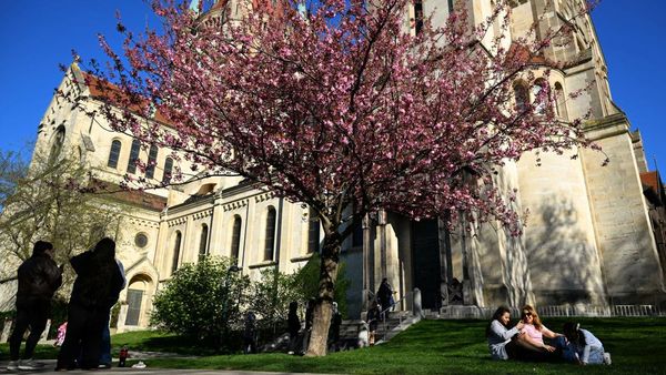 Keindahan Sakura Percantik Lanskap Kota Wina