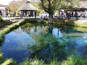 Ada 50 Ribu Koin di Kolam Oshino Hakkai, Tradisi yang Salah Kaprah