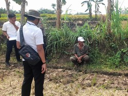 IRT Pingsan di Parit Sawah Probolinggo, Diduga Korban Pelecehan Seksual