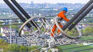 Perawatan Listrik Tegangan Tinggi, Petugas Hadapi Bahaya di Ketinggian