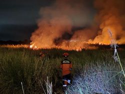 Kalbar-Kalsel Waspada Karhutla Mulai Bulan Juli 2026