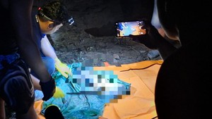 Lansia di Lahat Ditemukan Tewas-Dikubur, Diduga Korban Mutilasi