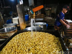 Kedelai Masih Impor Saat Dolar AS Rp 18.000, Pemerintah Guyur Subsidi
