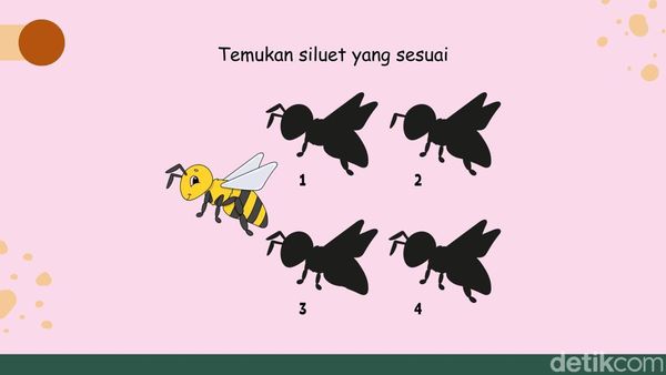 Tes Fungsi Otak! Cuma Visual Thinker yang Bisa Tebak Siluetnya Sambil Merem