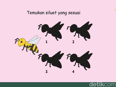 Tes Fungsi Otak! Cuma Visual Thinker yang Bisa Tebak Siluetnya Sambil Merem