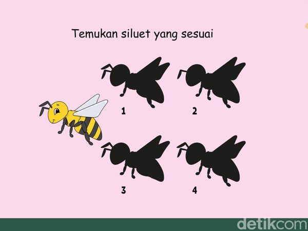 Tes Fungsi Otak! Cuma Visual Thinker yang Bisa Tebak Siluetnya Sambil Merem