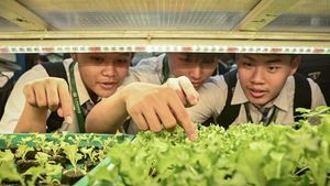 Agro Eduwisata di Jakarta, Siswa Antusias Pelajari Hidroponik di Kebun Vertikal