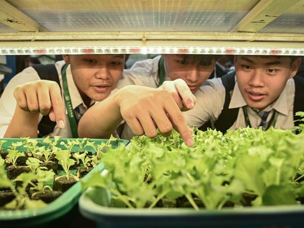 Agro Eduwisata di Jakarta, Siswa Antusias Pelajari Hidroponik di Kebun Vertikal
