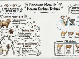 5 Jenis Kambing Kurban Terbaik di Indonesia, Ini Ciri yang Dipilih Rasulullah