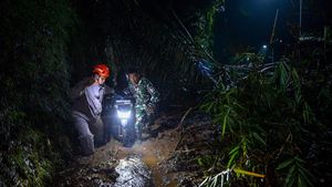 Tebing 30 Meter Longsor, Akses Cadas Pangeran Lumpuh