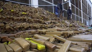 Polisi Berhasil Sita 48 Ton Ganja