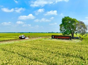 Produktivitas Padi dan Kedelai Mau Digenjot, Begini Caranya