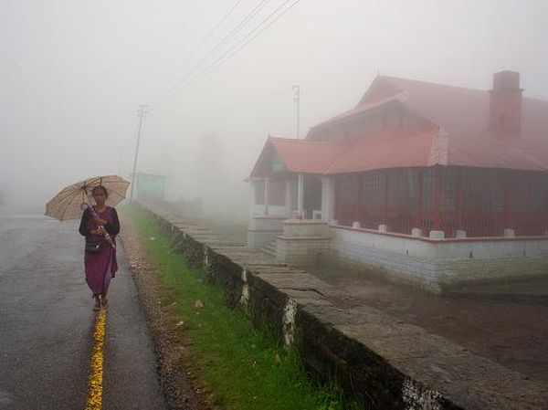 Desa dengan Hujan Abadi, Hampir Tak Pernah Melihat Matahari