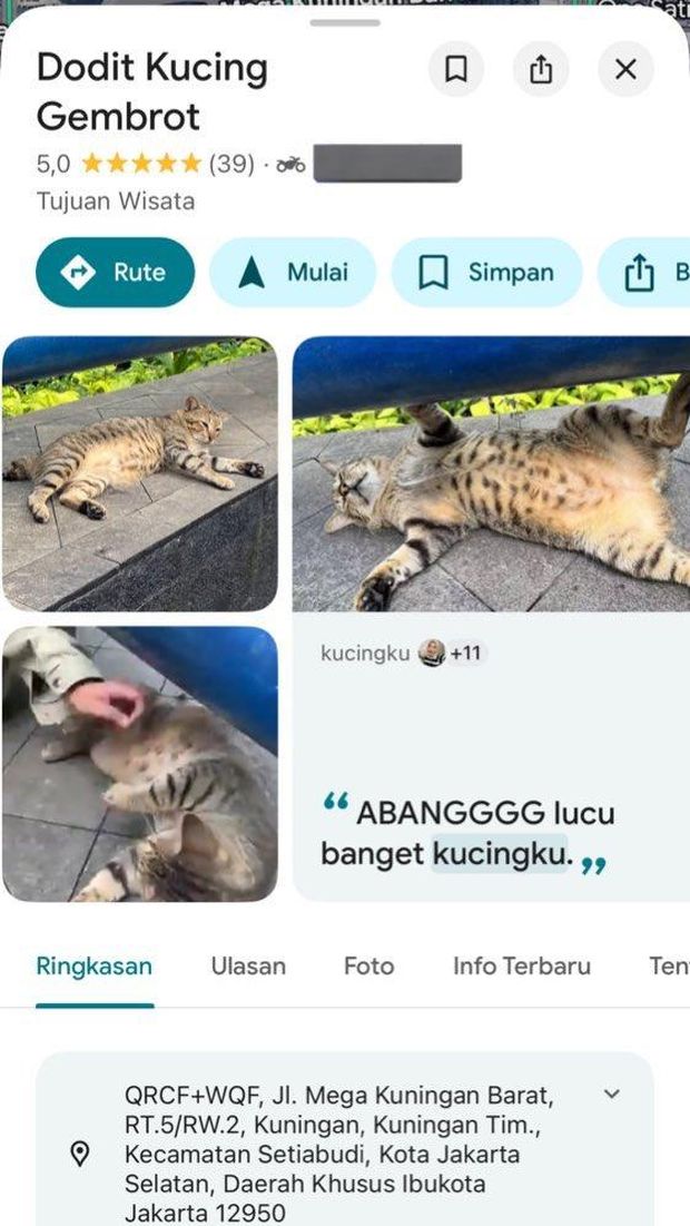 Dodit Kucing Gembrot