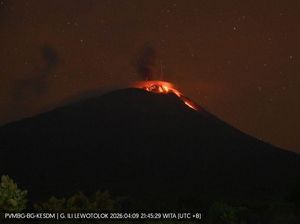 Gunung Ile Lewotolok di NTT Erupsi 14 Kali Semalaman, Lava 200 M Mengalir