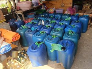 Komplotan Penimbun BBM Subsidi di Poso Ditangkap, 1.330 Liter Pertalite Disita