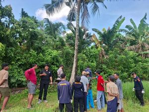 Warga Jembrana Tewas Akibat Terjatuh Saat Memanjat Pohon Kelapa