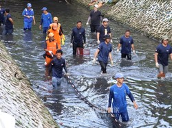 KPKP DKI Sebut Ikan Sapu-sapu yang Ditangkap Dipastikan Mati Sebelum Dikubur
