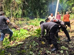 Indonesia Asri, Satgas BELIDA Polda Sumsel Bersihkan Jembatan di Lubuk Linggau