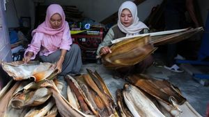 Piring Pelepah Pinang, Inovasi Limbah yang Bernilai Ekonomi