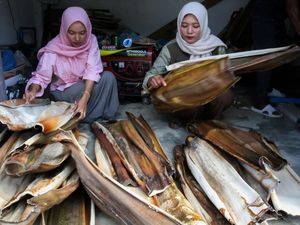 Piring Pelepah Pinang, Inovasi Limbah yang Bernilai Ekonomi
