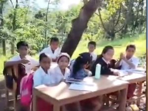 Video: Kala Siswa SD di NTT Belajar di Bawah Pohon Imbas Kekurangan Kelas