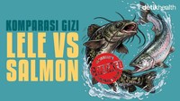 Infografis: Kandungan Gizi Lele Vs Salmon, Apa Saja yang Beda?
