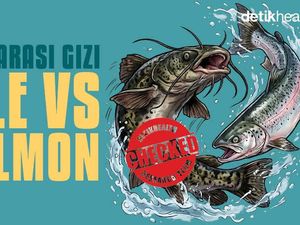 Infografis: Kandungan Gizi Lele Vs Salmon, Apa Saja yang Beda?