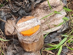 3 Potongan Jari Manusia Ditemukan di Kebun, Diduga Sengaja Dibuang-Diawetkan