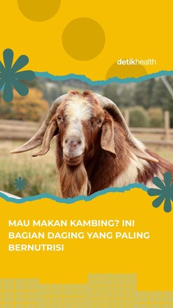 Video Mau Makan Kambing? Ini Bagian Daging yang Paling Bernutrisi