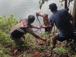 Geger Jasad Pria Mengambang dalam Kubangan Bekas Galian Tambang di Bogor