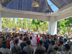 Kepala BTNK Ogah Tanda Tangan Petisi Tolak Kuota 1000 Turis ke TN Komodo