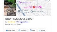 Viral Titik 'Dodit Kucing Gembrot' di Google Maps, Ini Alamat Persisnya