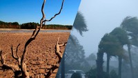 Waspada El Nino Super, Kenali Karakteristiknya