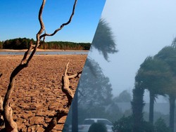 Apa Perbedaan El Nino dan La Nina? Kenali Dampaknya bagi Indonesia