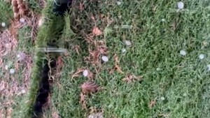 Cuaca Ekstrem Landa Bandung Timur, Petir hingga Hujan Es