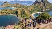 Komodo Terancam, Kuota Wisata Dibatasi 1.000 per Hari