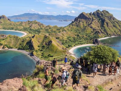 Komodo Terancam, Kuota Wisata Dibatasi 1.000 per Hari