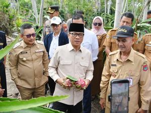 Mendes Yandri Dukung Penuh Pengembangan Desa Tematik di Luwuk Utara