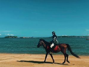 Serunya Berkuda Sembari Menikmati Sunset di Pantai Mertasari Sanur