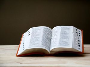 Kamus Bahasa Jawa-Indonesia dan Artinya Lengkap dari A sampai Z