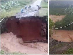Banjir Bandang Terjang Lampung Barat, Jembatan di Way Tenong Putus