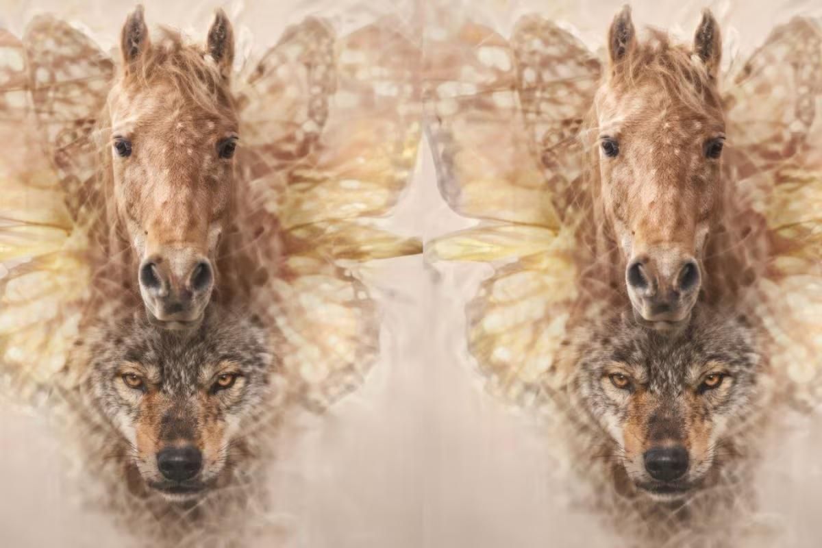 Tes kepribadian ilusi optik untuk ungkap ketakutan tersembunyimu