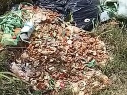Viral Sampah Diduga dari Dapur MBG Berserakan di Pinggir Jalan Sukabumi