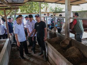 Ahmad Luthfi Tinjau Program Layanan Kesehatan Hewan Keliling di Sragen