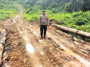 Sempat Lumpuh, Akses Jalan di Malinau Mulai Bisa Dilewati Secara Darurat