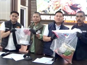 Polisi Bongkar Penjualan 4,79 Kilogram Sisik Trenggiling di Muaro Jambi